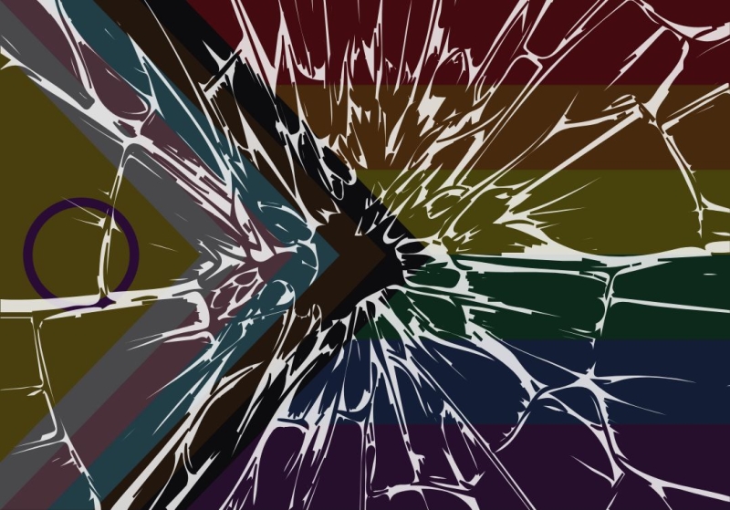 Como os radicais trans causaram derrota ao movimento LGBTQ (III)