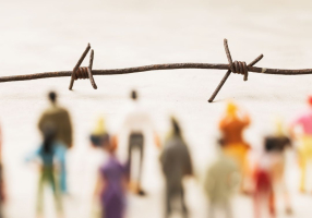 O comunismo das imigrações