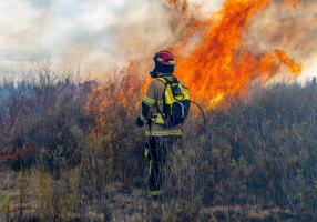 O “negócio” dos incêndios