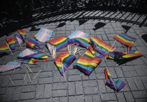 Como os radicais trans causaram derrota ao movimento LGBTQ (II)